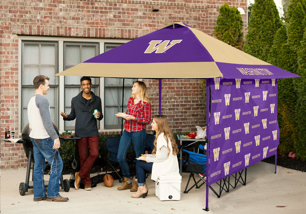 Washington 12x12 Solo Up Canopy