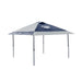 Nevada Wolfpack 12x12 Solo Up Canopy