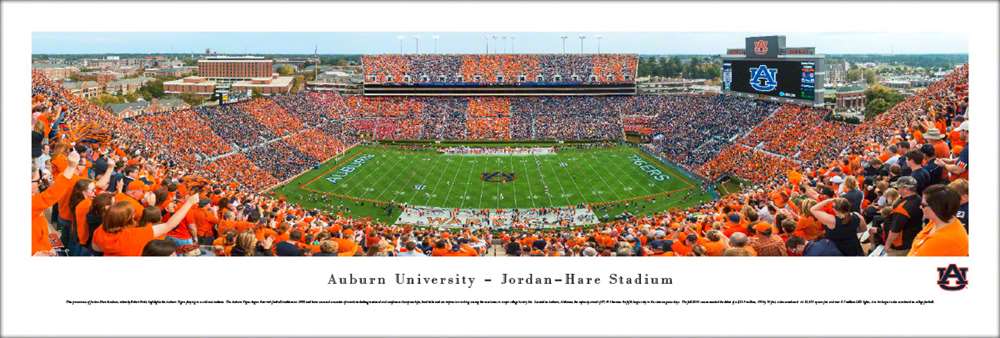 Auburn Tigers Football Panoramic Picture - Jordan-Hare Stadium Panorama  Unframed
