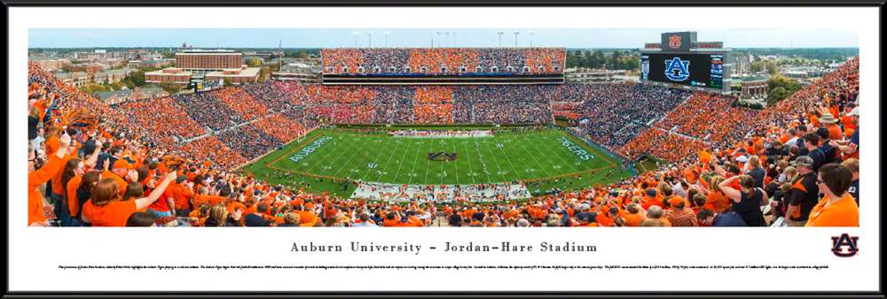 Auburn Tigers Football Panoramic Picture - Jordan-Hare Stadium Panorama  Standard Frame
