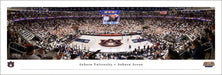 Auburn Tigers Basketball Panoramic Picture - Auburn Arena Fan Cave Decor  Unframed