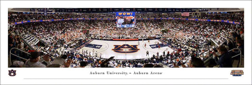 Auburn Tigers Basketball Panoramic Picture - Auburn Arena Fan Cave Decor  Unframed