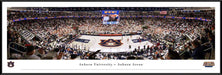 Auburn Tigers Basketball Panoramic Picture - Auburn Arena Fan Cave Decor  Standard Frame