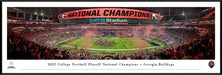 2023 College Football Playoff Back-to-Back National Champions Panoramic Picture - Georgia Bulldogs  Standard Frame