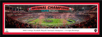 2023 College Football Playoff Back-to-Back National Champions Panoramic Picture - Georgia Bulldogs  Select Frame