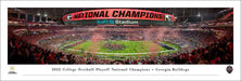 2023 College Football Playoff Back-to-Back National Champions Panoramic Picture - Georgia Bulldogs  Unframed