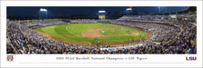 2023 College World Series Champions Panoramic Picture - LSU Tigers Fan Cave Decor  Unframed