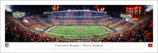 Cincinnati Bengals Stripe the Jungle Panoramic Picture - Paycor Stadium NFL Fan Cave Decor  Unframed