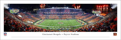 Cincinnati Bengals Stripe the Jungle Panoramic Picture - Paycor Stadium NFL Fan Cave Decor  Unframed
