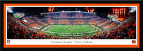 Cincinnati Bengals Stripe the Jungle Panoramic Picture - Paycor Stadium NFL Fan Cave Decor  Select Frame