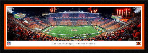 Cincinnati Bengals Stripe the Jungle Panoramic Picture - Paycor Stadium NFL Fan Cave Decor  Select Frame