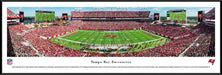 Tampa Bay Buccaneers Panorama - Raymond James Stadium Picture  Standard Frame