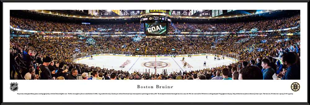 Boston Bruins Panoramic Picture - TD Garden Panorama  Standard Frame