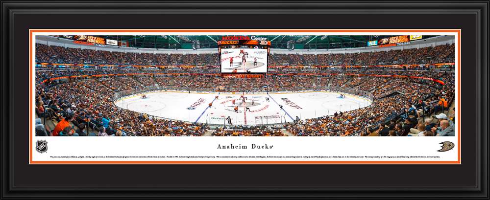 Anaheim Ducks Panoramic Picture - Honda Center Panorama  Deluxe Frame