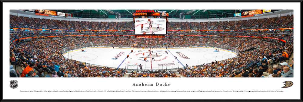 Anaheim Ducks Panoramic Picture - Honda Center Panorama  Standard Frame