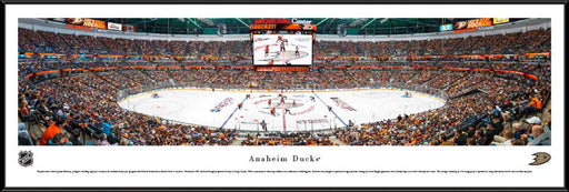 Anaheim Ducks Panoramic Picture - Honda Center Panorama  Standard Frame