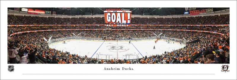 Anaheim Ducks - Honda Center Panorama Print