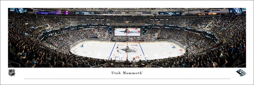 Utah Mammoth - Face Off Stadium Panoramic Picture Unframed - 40" x 13 1/2"