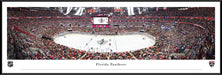 Florida Panthers Panoramic Picture - FLA Live Arena NHL Fan Cave Decor  Standard Frame