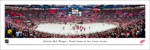 Detroit Red Wings Panoramic Picture - Joe Louis Arena NHL Panorama  Unframed