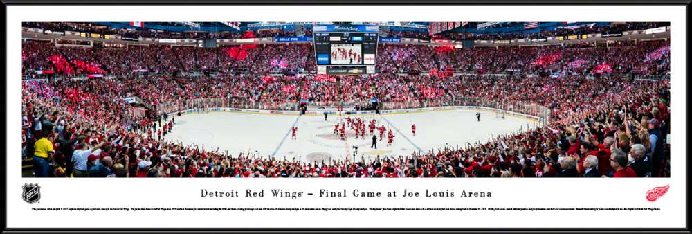 Detroit Red Wings Panoramic Picture - Joe Louis Arena NHL Panorama  Standard Frame