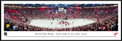 Detroit Red Wings Panoramic Picture - Joe Louis Arena NHL Panorama  Standard Frame