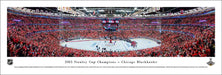 2015 Stanley Cup Panoramic Picture - Chicago Blackhawks  Unframed