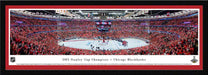 2015 Stanley Cup Panoramic Picture - Chicago Blackhawks  Select Frame