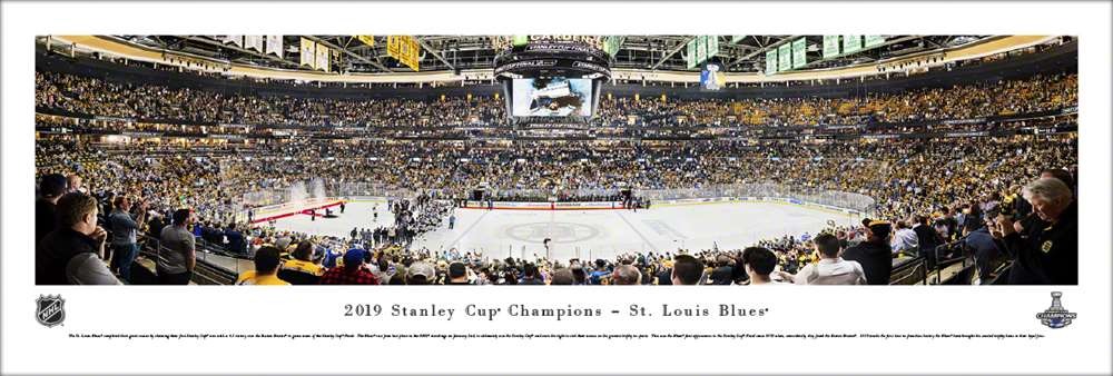 2019 NHL Stanley Cup Panoramic Picture - St. Louis Blues  Unframed