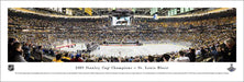 2019 NHL Stanley Cup Panoramic Picture - St. Louis Blues  Unframed