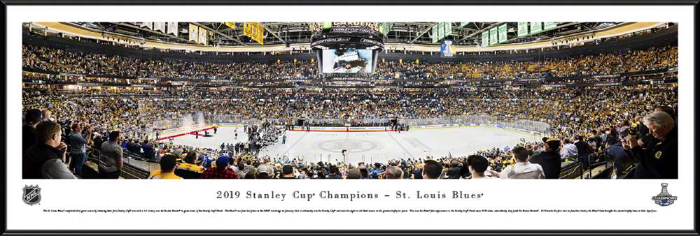2019 NHL Stanley Cup Panoramic Picture - St. Louis Blues  Standard Frame