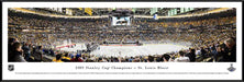 2019 NHL Stanley Cup Panoramic Picture - St. Louis Blues  Standard Frame
