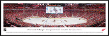 Detroit Red Wings Panoramic Picture - Little Caesars Arena  Standard Frame