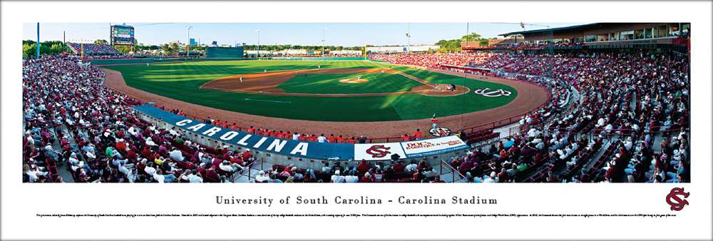 South Carolina Gamecocks Panoramic - Carolina Stadium Picture- Baseball  Unframed