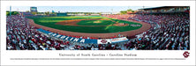 South Carolina Gamecocks Panoramic - Carolina Stadium Picture- Baseball  Unframed