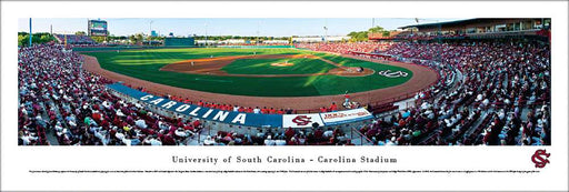 South Carolina Gamecocks Panoramic - Carolina Stadium Picture- Baseball  Unframed