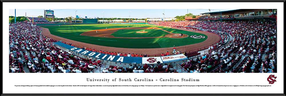 South Carolina Gamecocks Panoramic - Carolina Stadium Picture- Baseball  Standard Frame