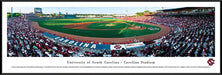 South Carolina Gamecocks Panoramic - Carolina Stadium Picture- Baseball  Standard Frame