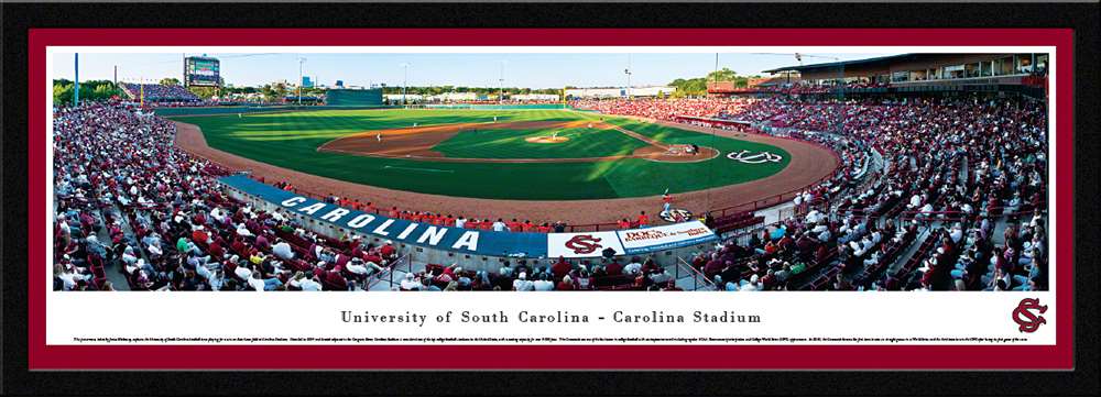 South Carolina Gamecocks Panoramic - Carolina Stadium Picture- Baseball  Select Frame