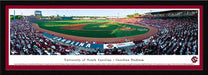 South Carolina Gamecocks Panoramic - Carolina Stadium Picture- Baseball  Select Frame