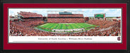 South Carolina Gamecocks Panorama - William Brice Stadium Picture  Deluxe Frame