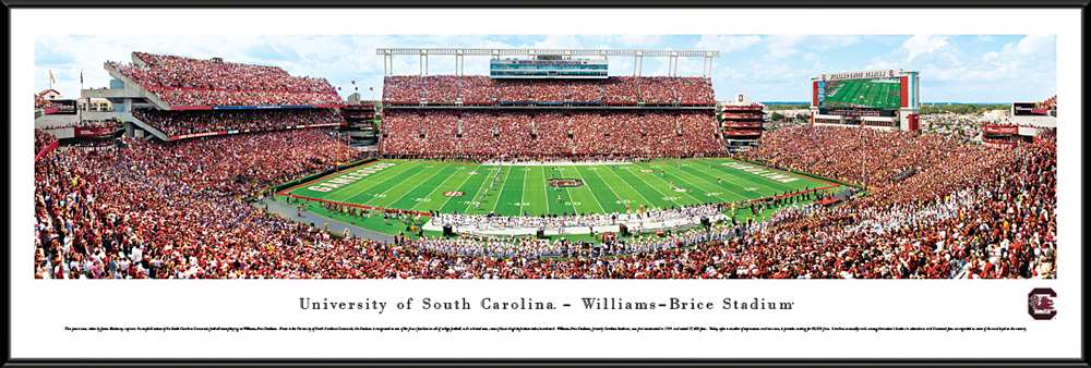South Carolina Gamecocks Panorama - William Brice Stadium Picture  Standard Frame