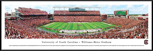 South Carolina Gamecocks Panorama - William Brice Stadium Picture  Standard Frame