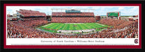 South Carolina Gamecocks Panorama - William Brice Stadium Picture  Select Frame