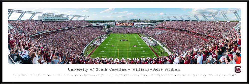 South Carolina Gamecocks Panorama - Williams-Brice Stadium  Standard Frame