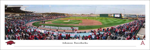 Arkansas Razorbacks Baseball Panoramic Picture - Baum-Walker Stadium at George Cole Field Fan Cave Decor  Unframed