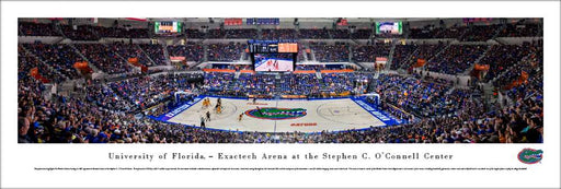 Florida Gators Panoramic Picture - O'Connell Center  Unframed