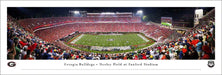 Georgia Bulldogs Football Panoramic Poster - Sanford Stadium Picture  Unframed