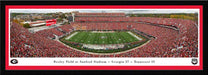 Georgia Bulldogs Football Panoramic Picture - Sanford Stadium Fan Cave Decor  Select Frame