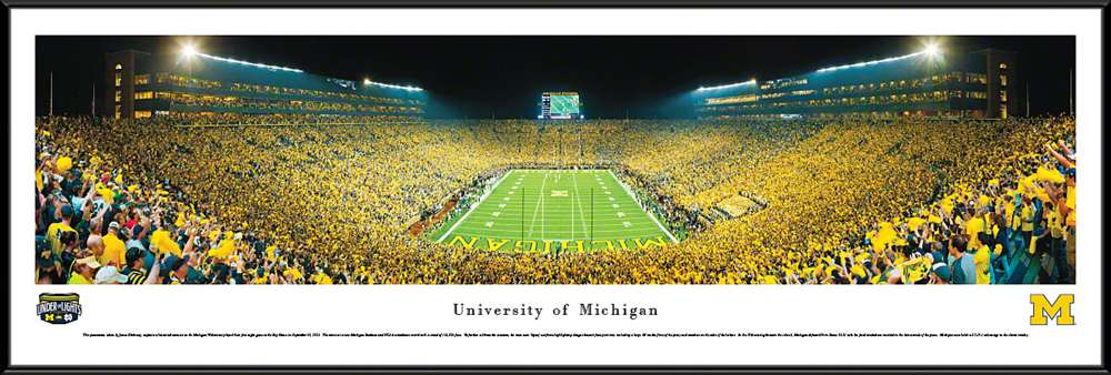 Michigan Wolverines Panoramic Picture - Michigan Stadium Big House Picture  Standard Frame